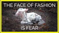 Urban Outfitters Brands: The Face of Fashion Is Fear