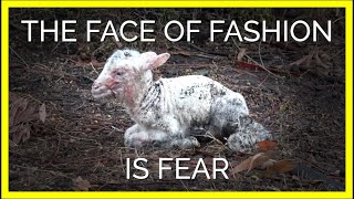 Urban Outfitters Brands: The Face of Fashion Is Fear