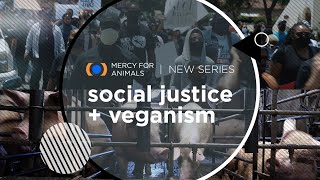 New Series Coming Soon!