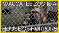 Only a Monster Would Give Coupons to a Roadside Zoo Full of Distressed Animals