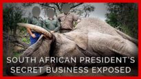 PETA Investigation: South African President Secretly Profits From Trophy Hunting