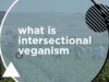 Social Justice + Veganism Ep.1 Intersectional Veganism