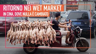 WET MARKET in Cina, nulla è cambiato