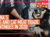 China’s Dog and Cat Meat Trade Continues in 2020