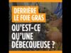 Foie gras : le débecquage des canetons