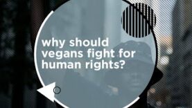 Social Justice + Veganism Ep.2 Why Should Vegans Fight for Human Rights?