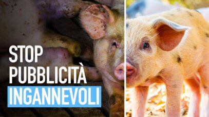 STOP PUBBLICITÀ INGANNEVOLI: segnala le bugie dell’industria alimentare