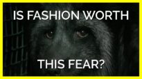 Think of the Animal Behind Your Clothing