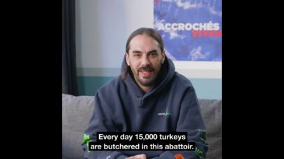 Turkeys abattoir LDC/Le Gaulois in France