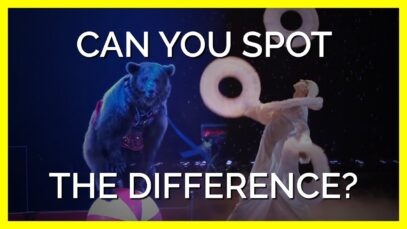 Animals Don’t Have a Choice, You Do