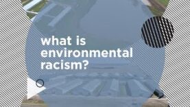 Social Justice + Veganism Ep.4 Environmental Racism