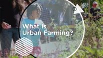 Social Justice + Veganism Ep.5 Urban Farming