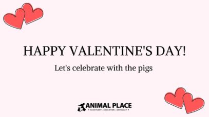 Happy Valentine’s Day!