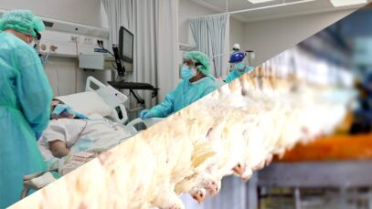 Increased Slaughter-line Speeds Are More Likely To Cause COVID-19 Outbreaks in Slaughterhouses