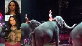 9 Celebrities Who Hate Animal Circuses