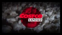 Costco’s Response to an Undercover Investigation by Mercy For Animals