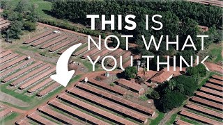 DRONES Reveal Bizarre “Egg City”