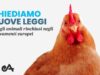 Nuova campagna per cambiare il futuro di milioni di animali in  Europa