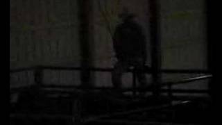 Rodeo Investigation