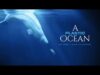A-Plastic-Ocean