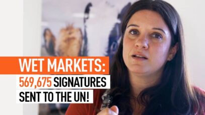 Animal Equality Delivers Thousands of Signatures to U.N. Urging Ban on Live Animal at Wet Markets