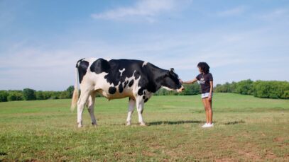 Mercy For Animals Is Disrupting the Factory Farming Industry