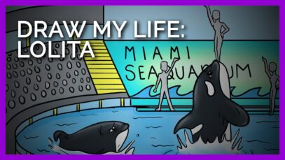 Draw My Life: Listen to Lolita Tell Her Tragic Story