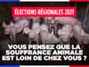 Élections régionales 2021 – Vous pensez que la souffrance animale est loin de chez vous ?