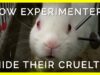 Euphemisms Animal Experimenters Use to Hide Their Cruelty