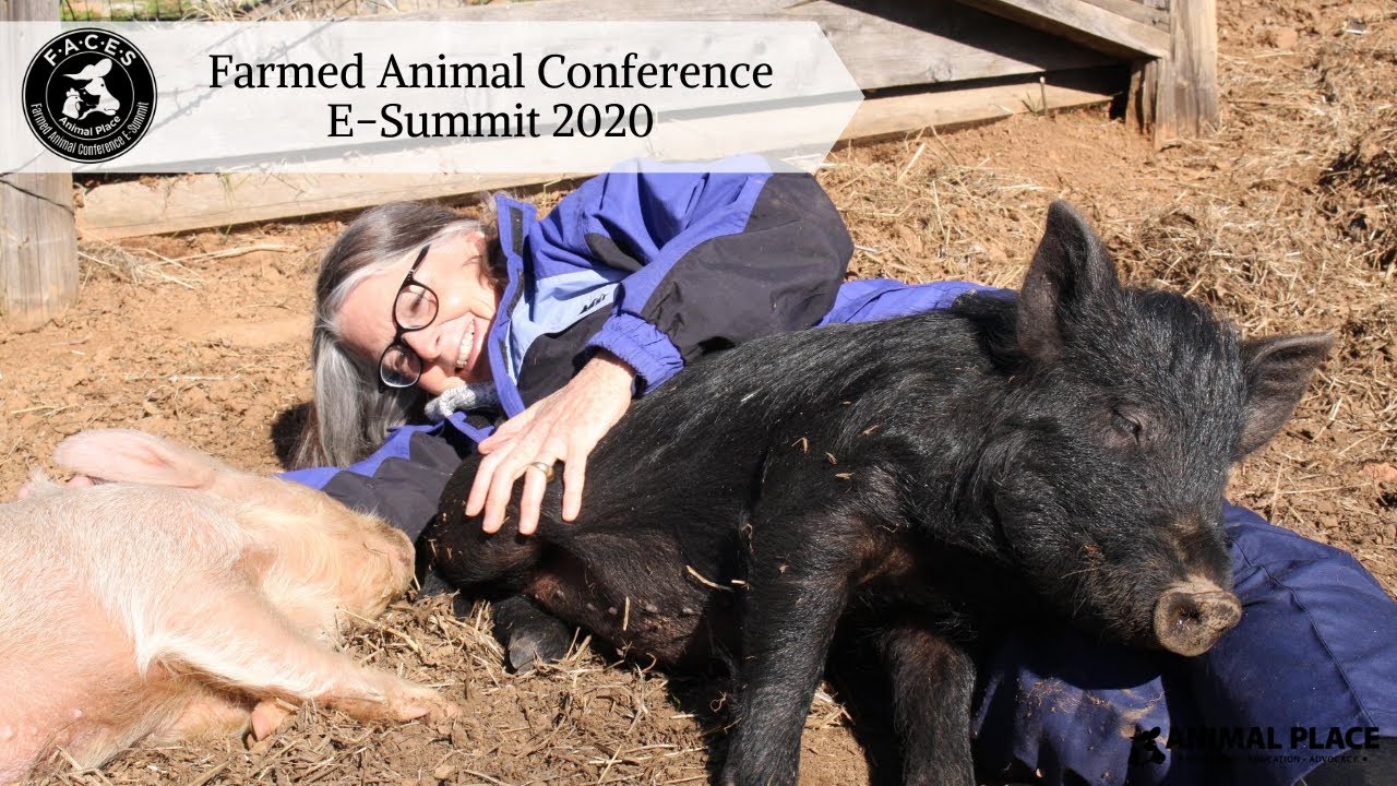 Farmed Animal Conference E-Summit 2020 - Official Trailer ...