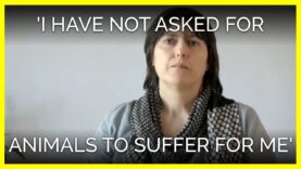'I Have Not Asked for Animals to Suffer for Me'
