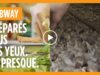 La (vraie) recette du sandwich au poulet Subway