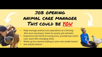 Now Hiring: Animal Care Manager