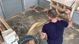 Scrub, Rinse, Dazzle, Rock & Roll!