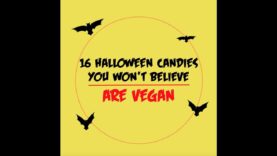 Vegan Halloween Candy!