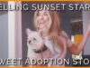 Chrishell Stause Shares Her Heartwarming Dog Adoption Story With PETA