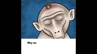 Dorothy, a Mother Tortured at the Washington National Primate Research Center