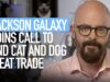Jackson Galaxy Calls for an End to the Dog and Cat Meat Trade