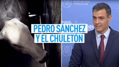 Pedro Sánchez y el CHULETÓN IMBATIBLE