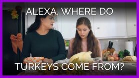What if Alexa’s New Butterball Skill Told the Truth?