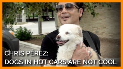 Chris Pérez: It’s Not Cool to Leave Your Dog in a Hot Car