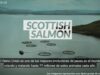 De esta manera se mata al salmón escocés