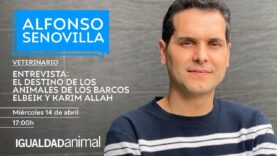 Entrevista en Voces Animales con el veterinario Alfonso Senovilla