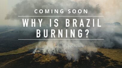 Find out which industry is driving mass deforestation in Brazil