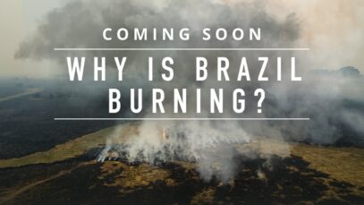 Find out which industry is driving mass deforestation in Brazil