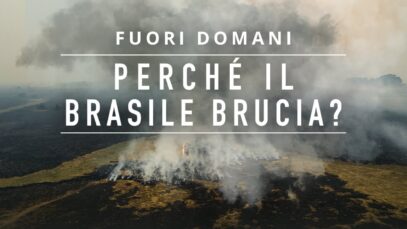 NUOVO VIDEO DOMANI: perché il Brasile brucia?