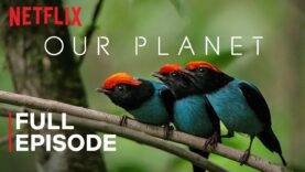 Our Planet | One Planet | FULL EPISODE | Netflix