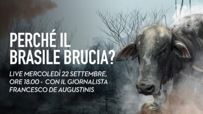 Perché il Brasile brucia? L'industria della carne dietro la deforestazione