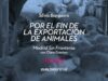 Por el Fin de la Exportación de Animales - Madrid Sin Fronteras