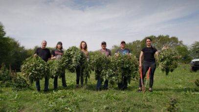 These Former Chicken Farmers Just Harvested Their First Acre of Hemp